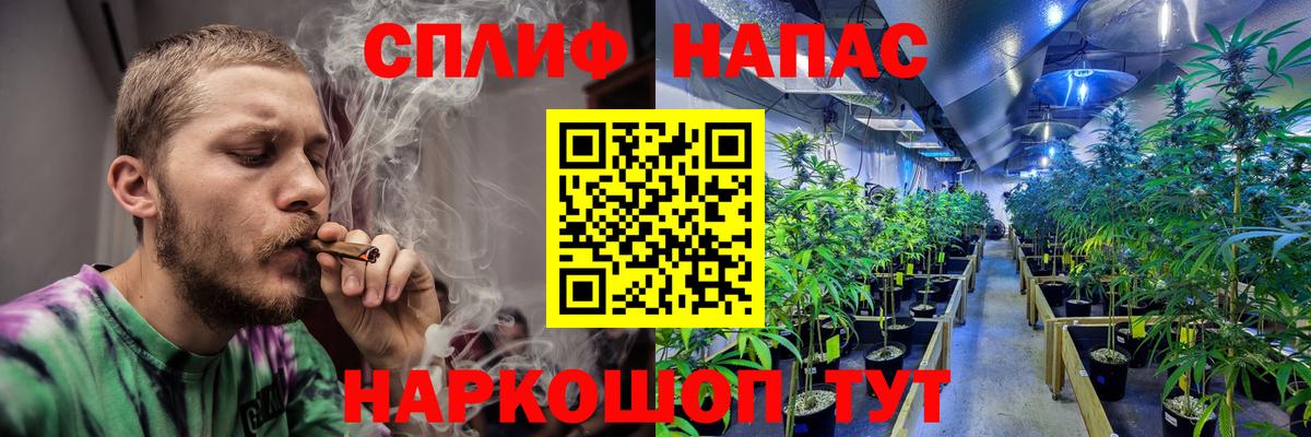 Волгодонск  Конопля AK-47  Конопля Ganja  Вход с VPN 